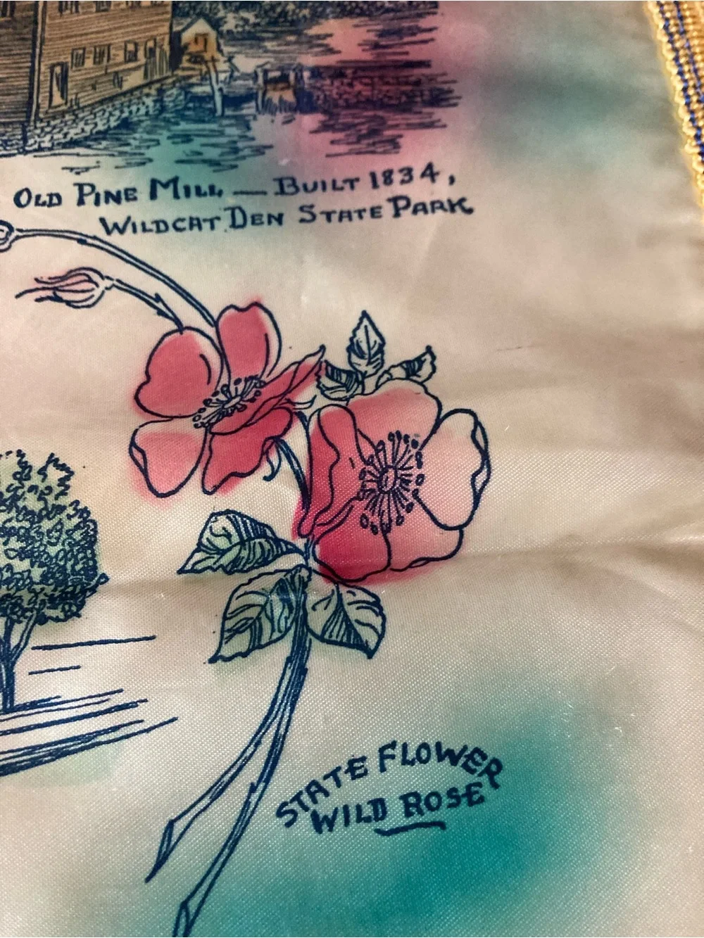 Vintage Iowa silk fringed pillow case from 1950’s approximately 16 x 16
